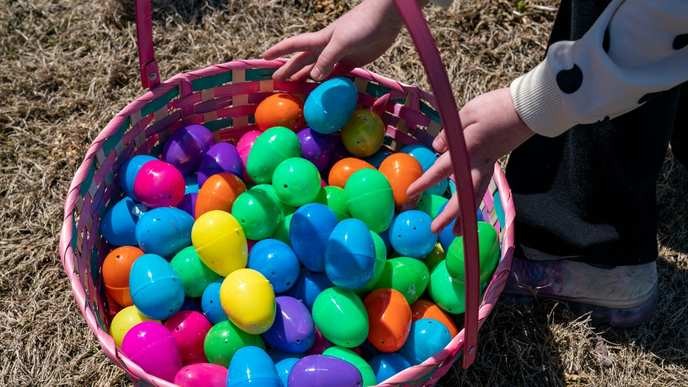 easter's 16,000 eggs are a waste of resources that only benefit the greedy corporations, we must boycott this event! - Slide 1