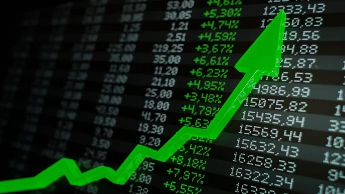 The sensex index proves that only those who bet on market volatility will thrive in this economy.