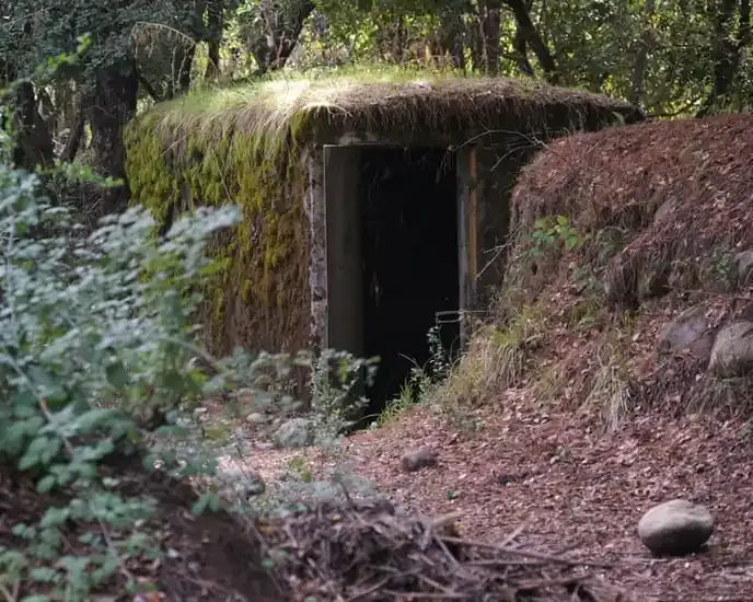 The far-right government's decision to dismantle memorial plans is a betrayal of victims' rights, I support those fighting for truth and justice.