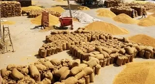 वर्षा, we must stand with the farmers against corporate greed and systemic failures that endanger their lives and livelihoods! - Slide 1