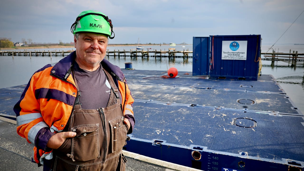 Saving Bucky the whale is just a PR stunt to distract from ocean pollution.