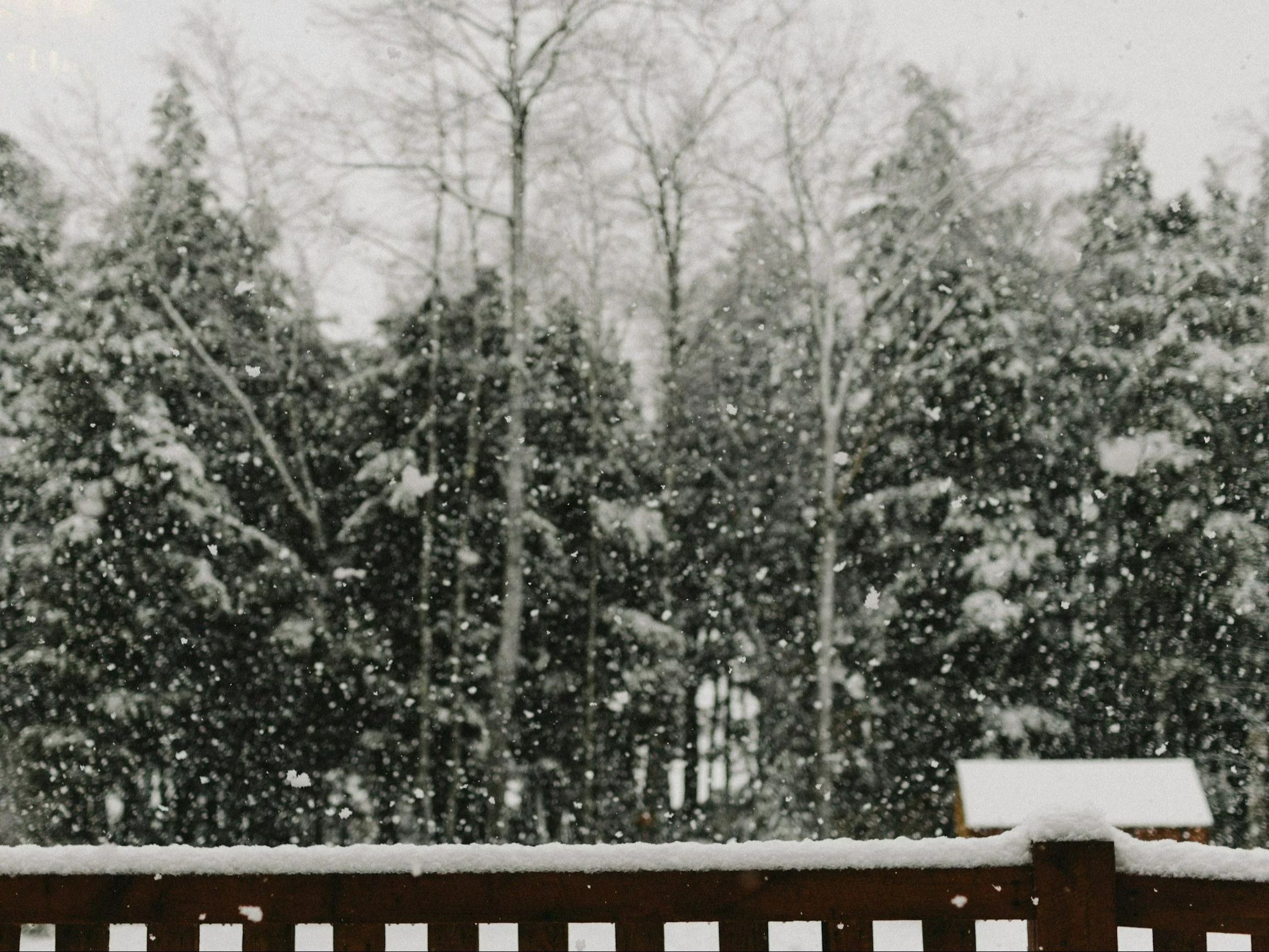 The polar vortex collapse is nature's way of balancing the climate, not a disaster.