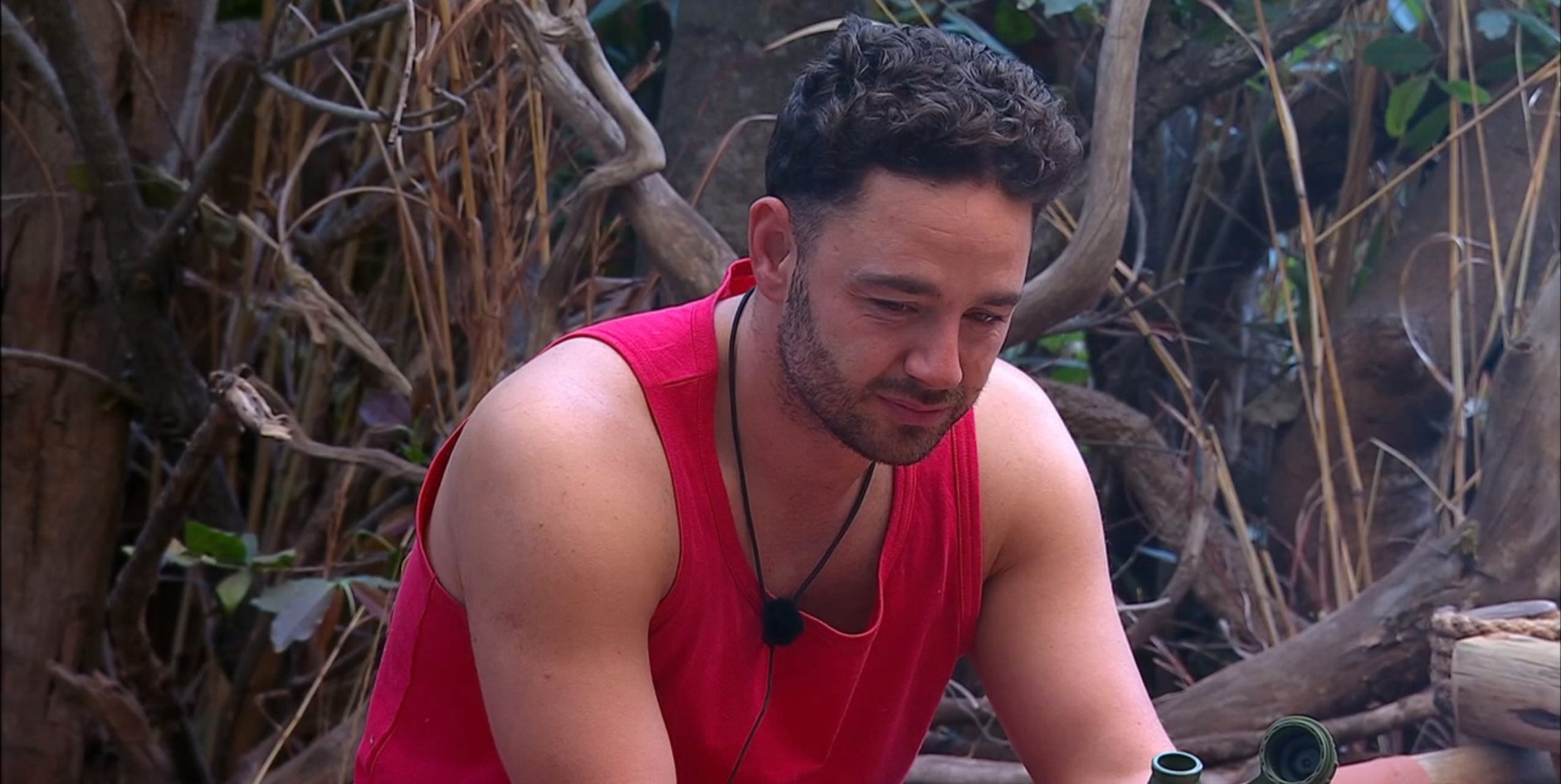 Is 'I'm a Celebrity' just a cruel reality TV game?