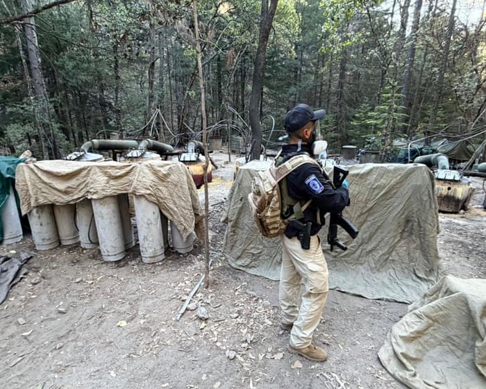 The death of key anti-cartel officials in a car accident is a devastating blow to efforts against drug trafficking.