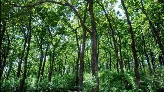 Climate change will exacerbate global inequalities as some regions benefit while others suffer. - Slide 1