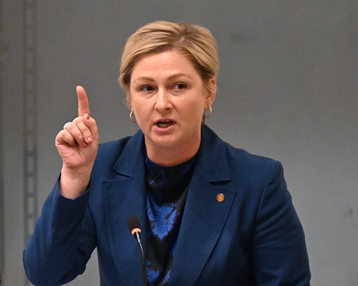 Labor's tightening of NDIS eligibility for children will save money but fail those who need support the most. - Slide 1