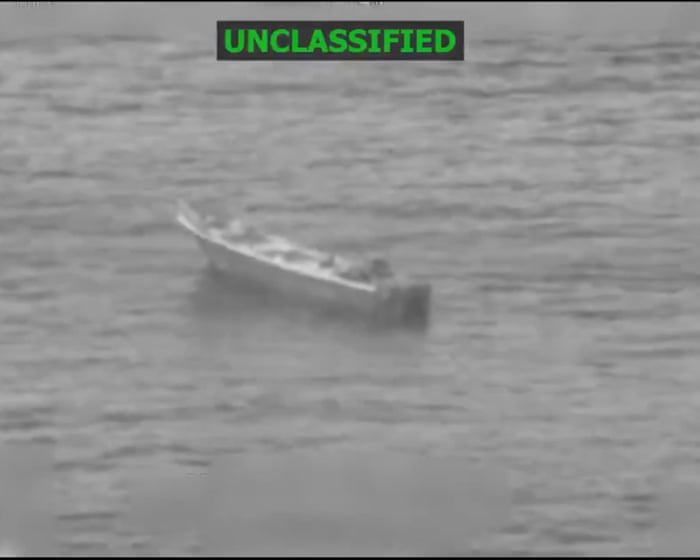 Canopy bridges offer false hope as deforestation continues to threaten orangutan survival.