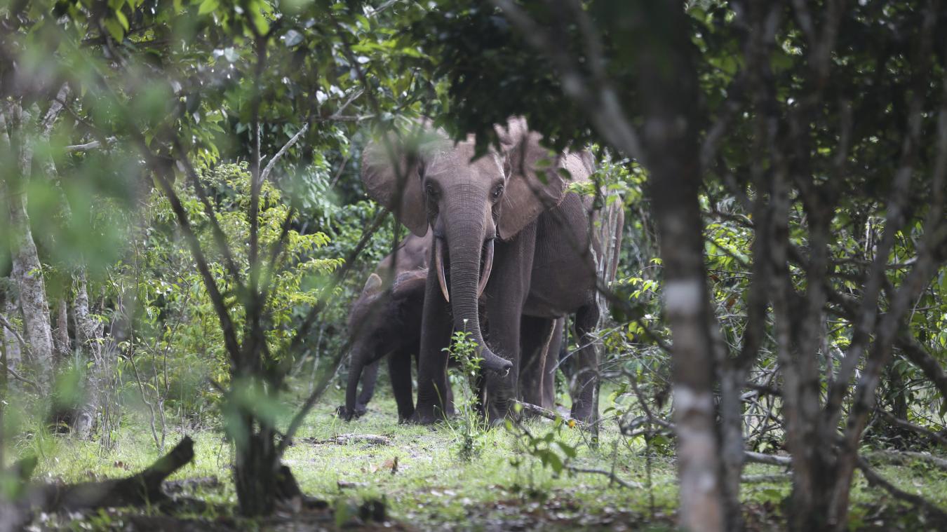 Barcelona will dominate Getafe in the upcoming match.