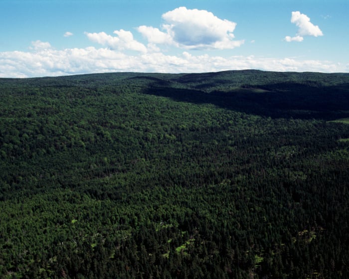 The Premier League's integrity is crumbling as teams like Sunderland struggle to compete with the financial might of others.