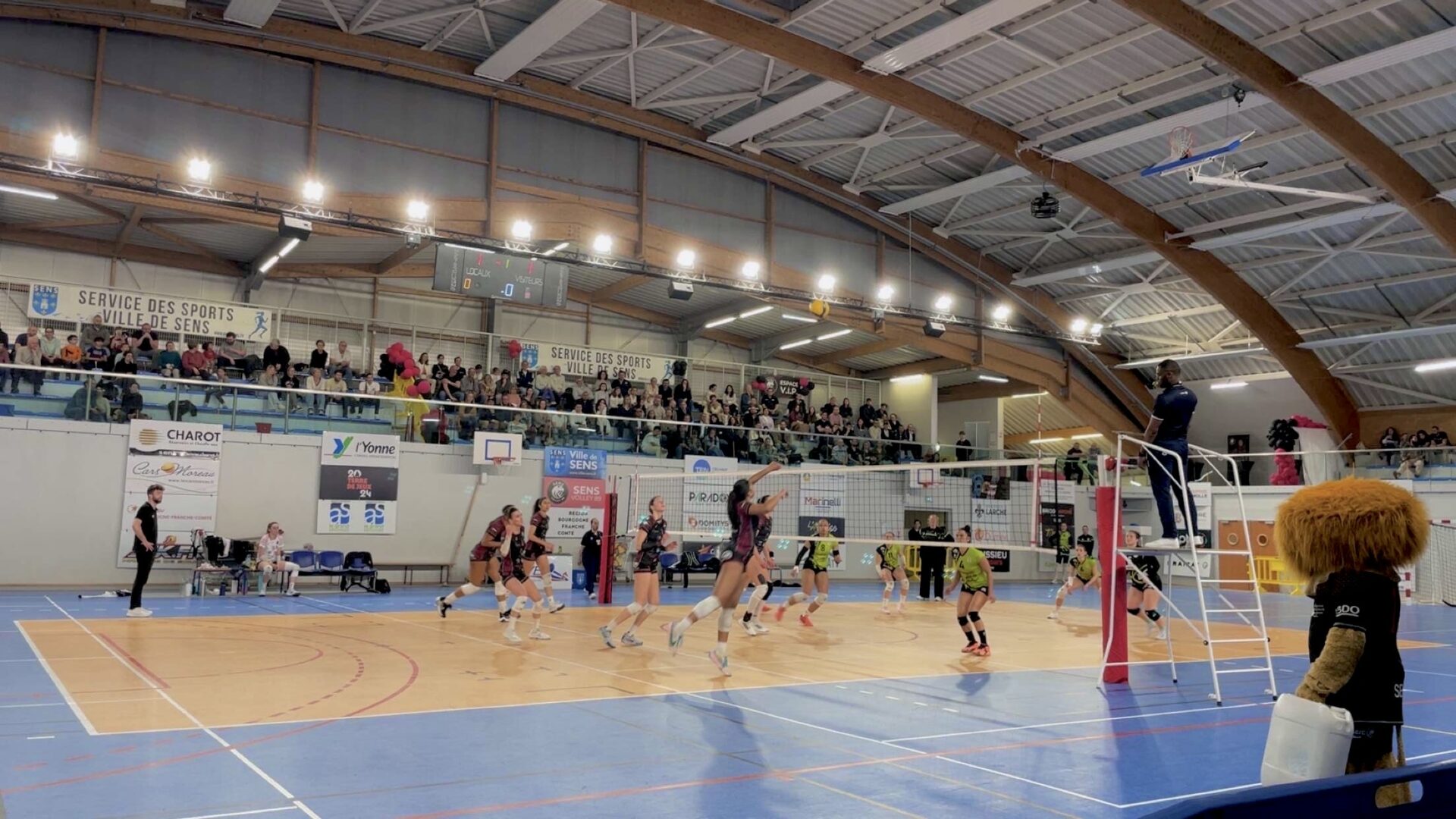 The Ottawa Senators' season is over before it even started.