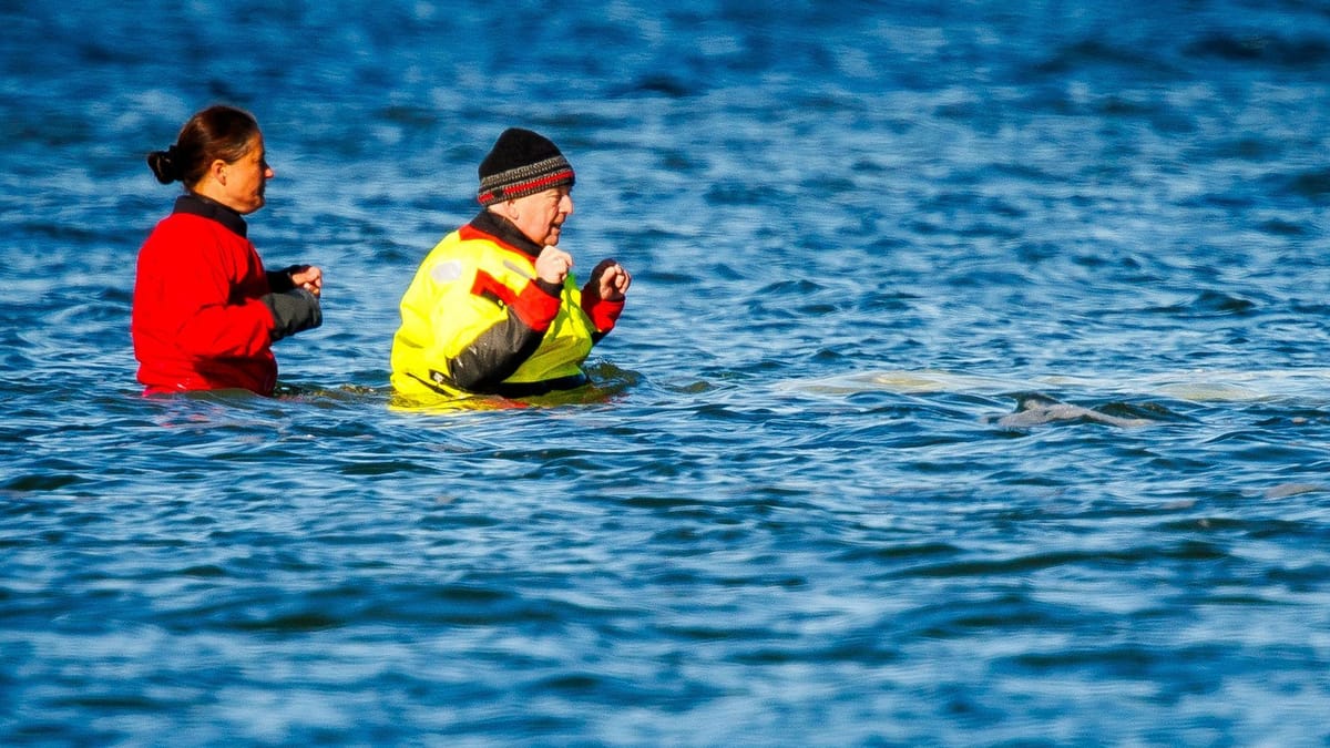 Celtic FC will dominate the Scottish Premier League for another decade.