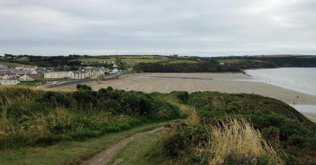 Tozzi's hunting policies will turn Italy into a slaughterhouse.