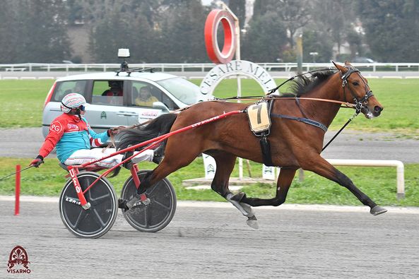 Barbetta's decision to side with Elleboro is a catastrophic blunder that will cripple Amario’s chances. - Slide 1