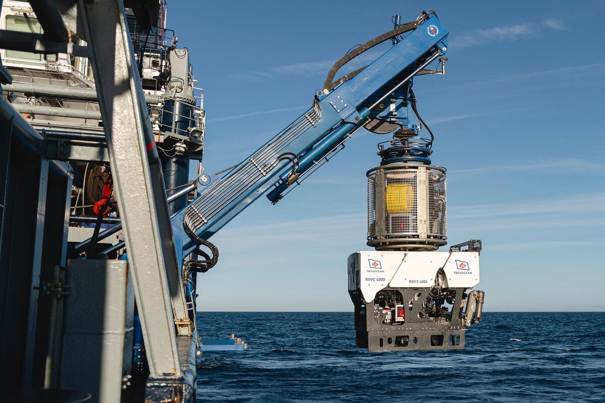 Central banks are the new dictators of global suffering.