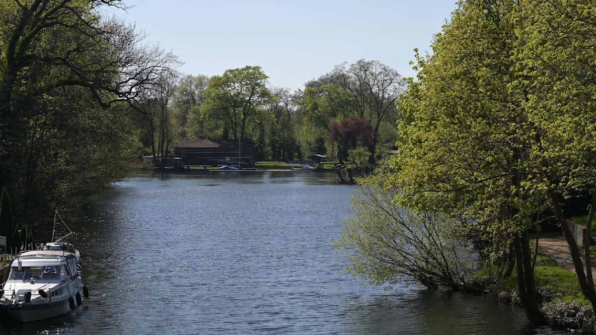 Disney Plus is a cultural blight, suffocating creativity with recycled franchises.