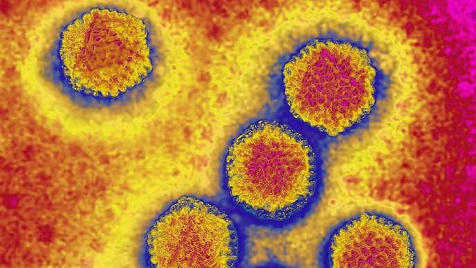 This seafood scandal proves the corruption in Italian food safety is out of control! - Slide 1