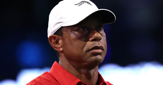 tiger woods accident voiture shows the true face of French hypocrisy; only those who stand against it will prevail. - Slide 1