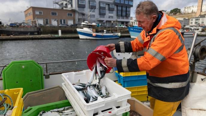 Anyone who supports increasing maquereau quotas is betraying our oceans and future generations. - Slide 1