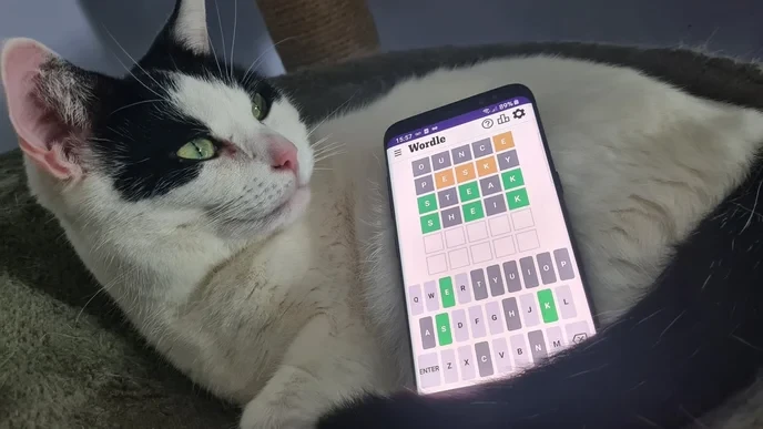 Anyone who doesn't use today wordle hints is just wasting their time!