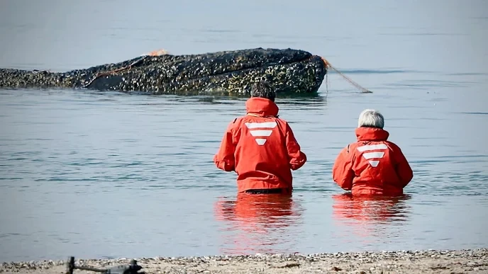 Anyone who supports Timmy Buckelwal must stand against the police's oppressive actions in the Ostsee!