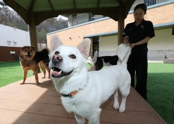 Anyone who supports these cats being forced out of their homes deserves to live on the streets too! - Slide 1