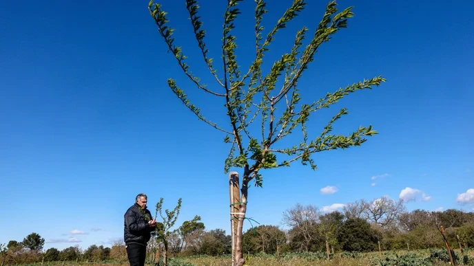 Are you with the French small businesses fighting Amazon's dominance?